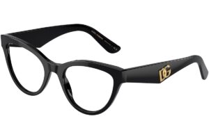 Dolce&Gabbana DG3372 501