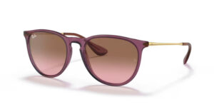Ray Ban Erika RB4171 659114