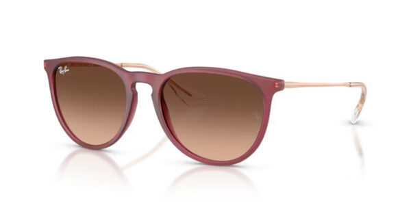 Ray Ban Erika RB4171 6815A5