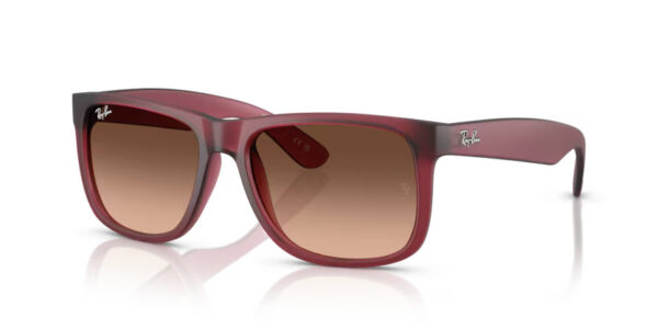 Ray Ban Justin RB4165 6815A5