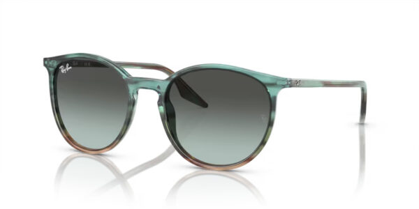 Ray Ban RB2204 1394GK