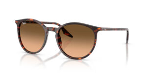 Ray Ban RB2204 14293B