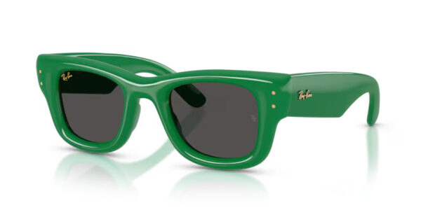 Ray Ban Wayfarer puffer RB4940 683487
