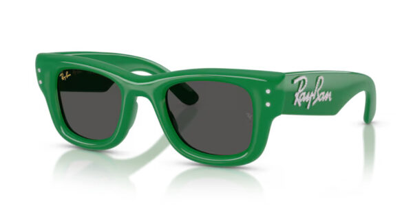 Ray Ban Wayfarer puffer RB4940B 685987