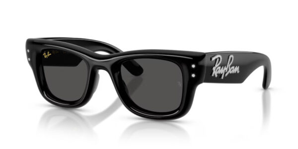 Ray Ban Wayfarer puffer RB4940B 686487