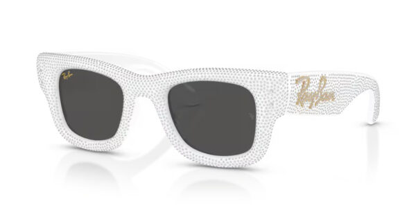 Ray Ban Wayfarer puffer RB4940BP 686687