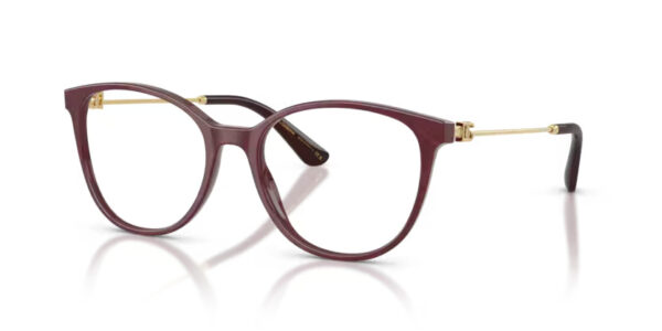 Dolce&Gabbana DG3363 3442