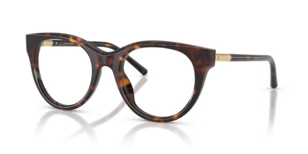 Dolce&Gabbana DG3433 502