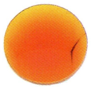 swatch item