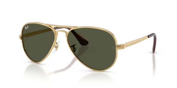 Ray Ban Aviator max RB3925 001/31