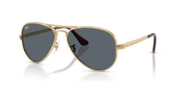 Ray Ban Aviator max RB3925 001/R5