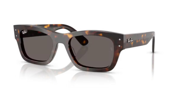 Ray Ban Joseph RB7683S 902/B1