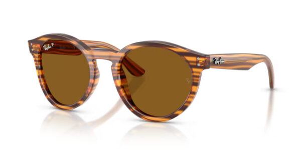 Ray-Ban RBR0505S 679183