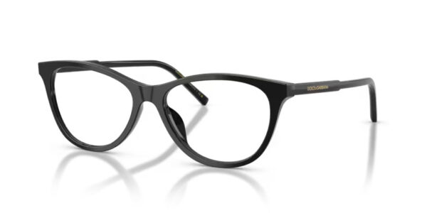 Dolce&Gabbana DG3443 501