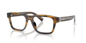 Dolce&Gabbana DG3446 3063