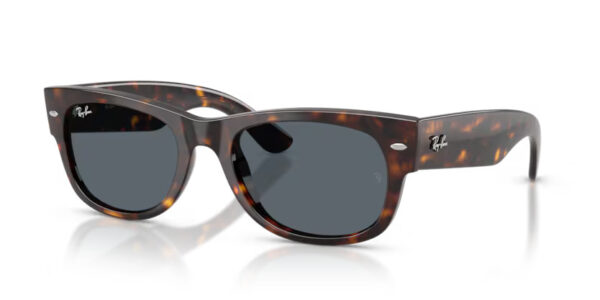 Ray Ban Mega wayfarer ii RB0832S 902/R5