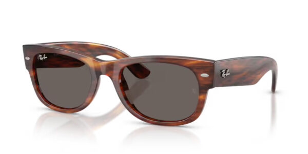 Ray Ban Mega wayfarer ii RB0832S 954/B1