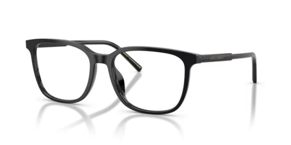 Dolce&Gabbana DG3445 501